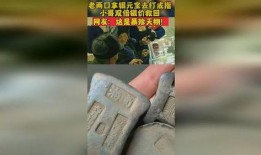 寻找传家宝,揭秘传家宝的神秘之旅