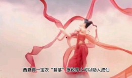 洗冤录之西夏铁棺,洗冤录中的神秘传奇