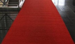 红地毯,星光熠熠的时尚盛宴