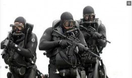 全裸鲨鱼特种部队,全裸鲨鱼特种部队的神秘征程