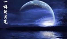 一样的月光,心灵相通的浪漫之旅