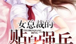 总裁的贴身超级强兵,守护与荣耀的传奇征程