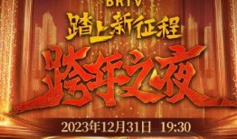 2023北京卫视跨年之夜,璀璨星光下的视听盛宴