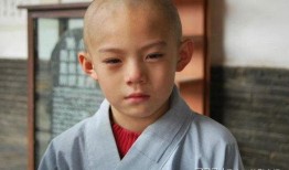 少林小子方世玉,武林传奇，少年英雄的成长之路