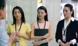 总裁不在人间在包间,包间里的秘密风云