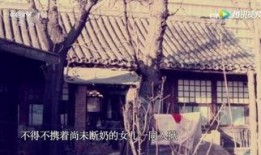 饲育的房间：最后的栖身之所,揭秘“最后的栖身之所”的奥秘