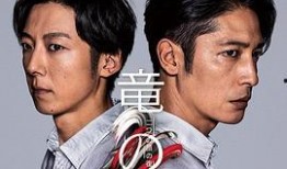 龙道 双面复仇者,双重身份下的复仇之路