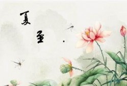 夏至末至,时光流转的季节变迁