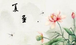 夏至末至,时光流转的季节变迁