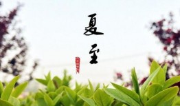 夏至末至,时光流转的季节变迁