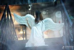 失落天使,探寻迷失之翼的传奇之旅