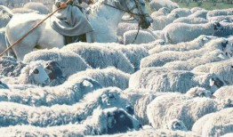 海的尽头是草原